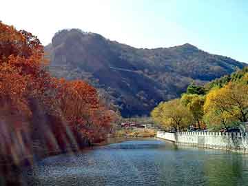 新澳天天开奖资料大全旅游团，砂浆王配方